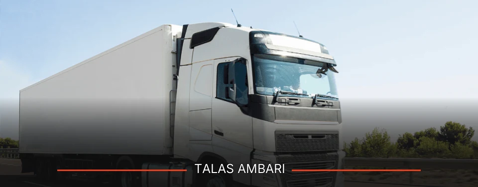 Talas Ambarı